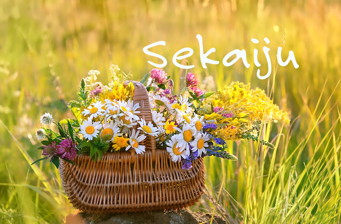 世界樹メンバーズ